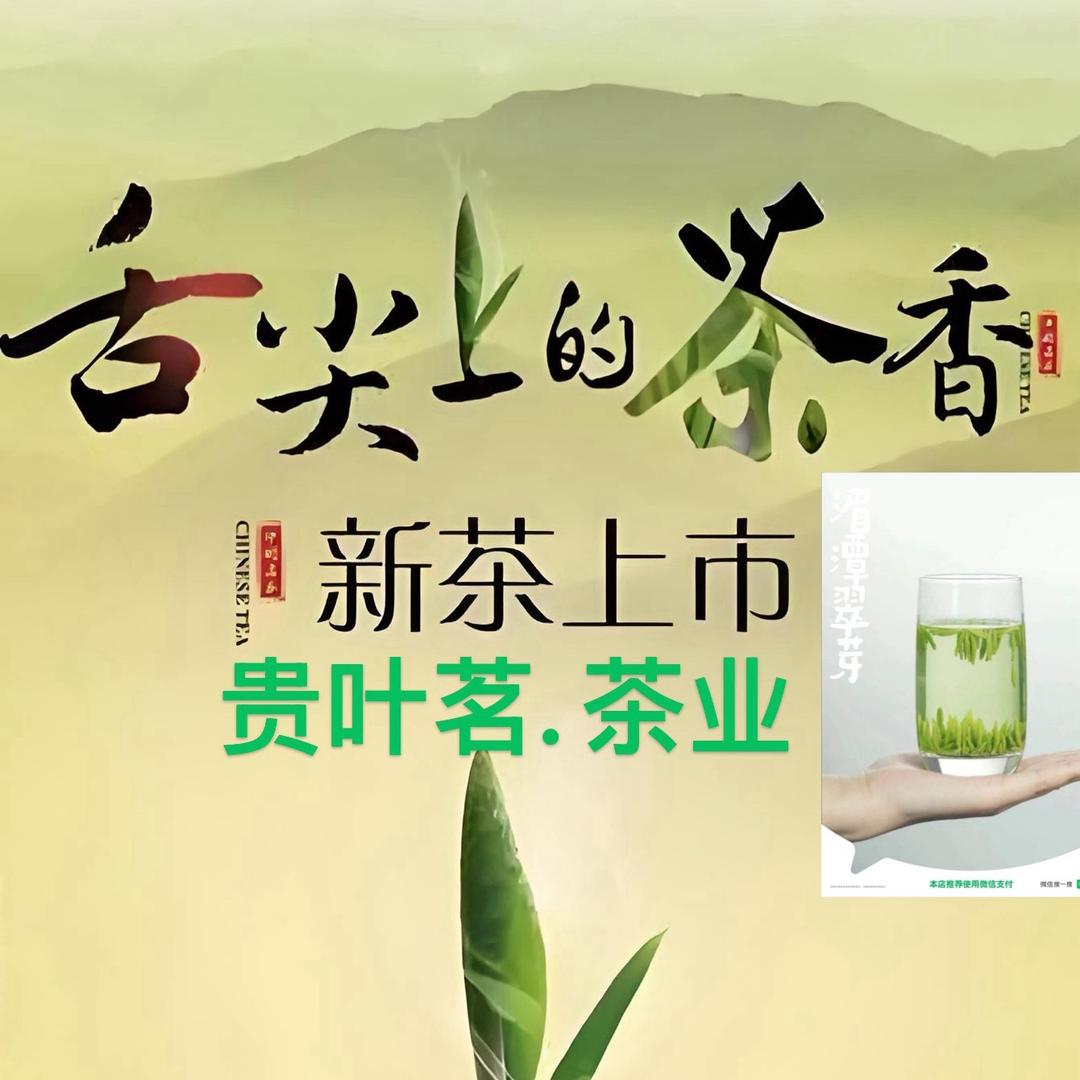 贵叶茗茶业