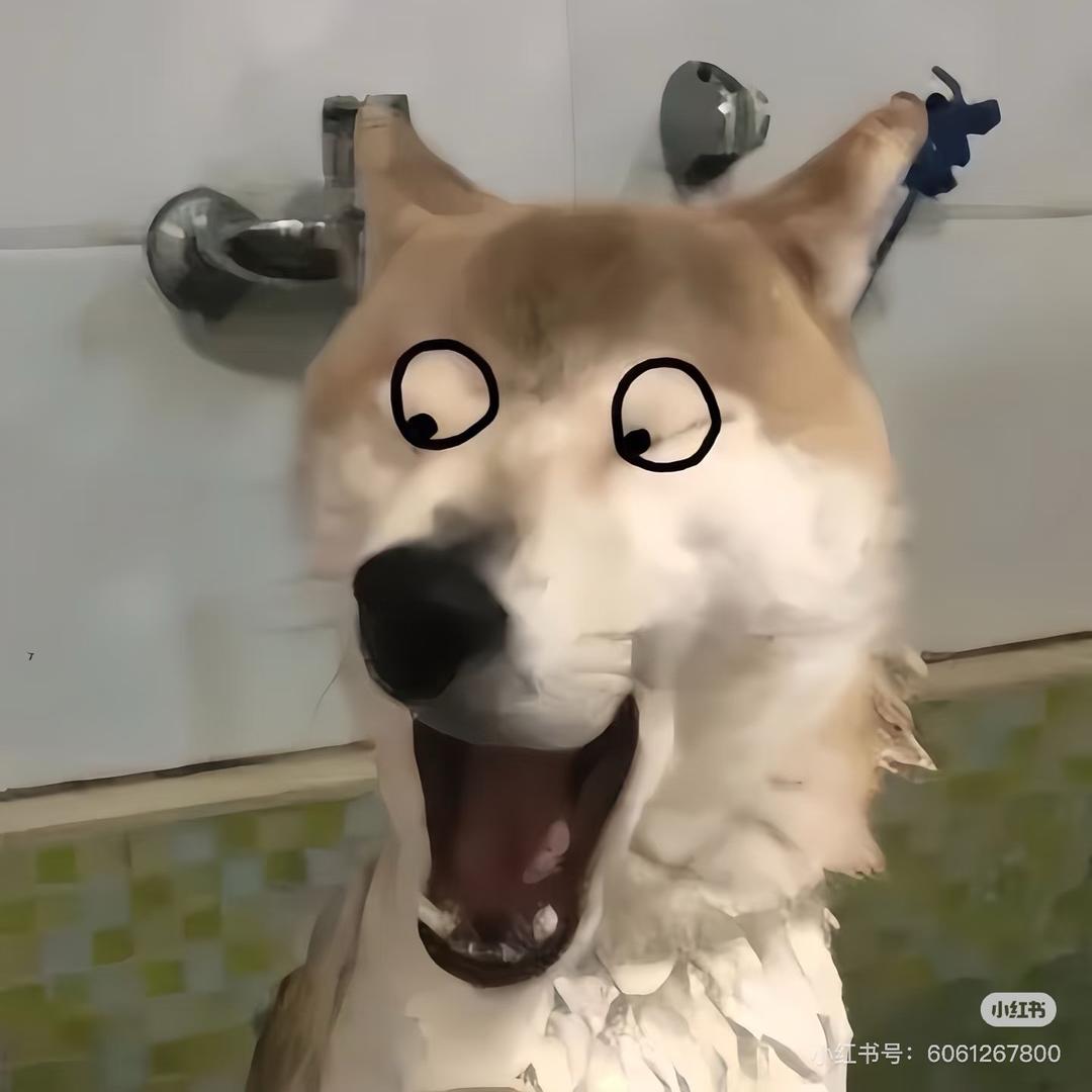 迷死她HH