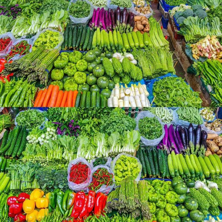 蔬菜批发玉米南瓜小土豆蘑菇西红柿红薯萝卜