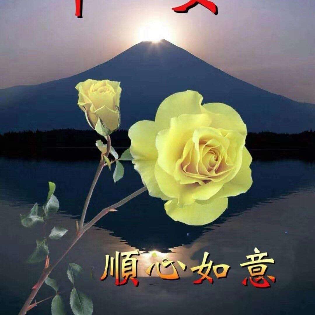 供灯