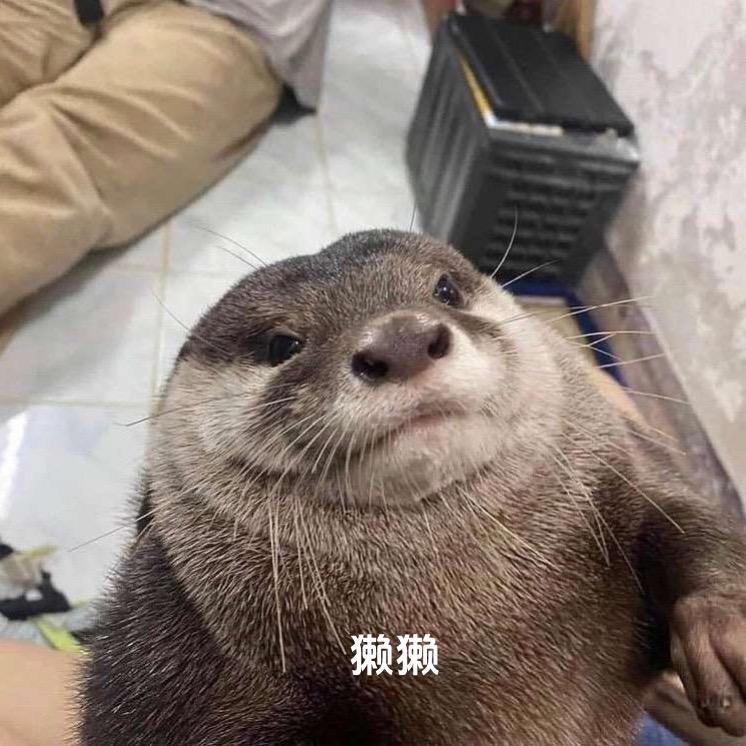 獭獭