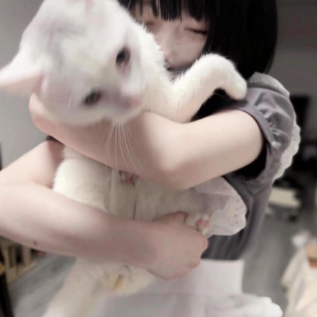 猫毛拌饭