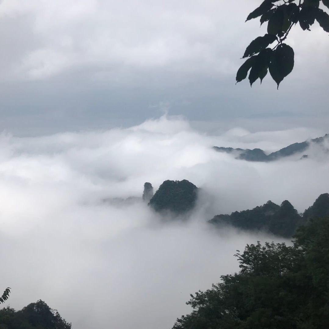 小小叶