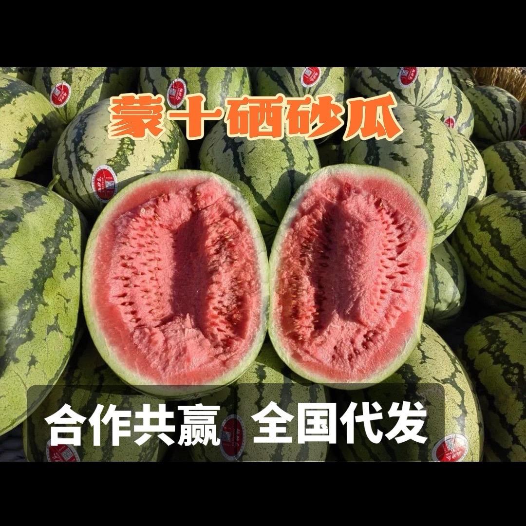 甘肃硒砂瓜🍉小蒙产地代收代发全国