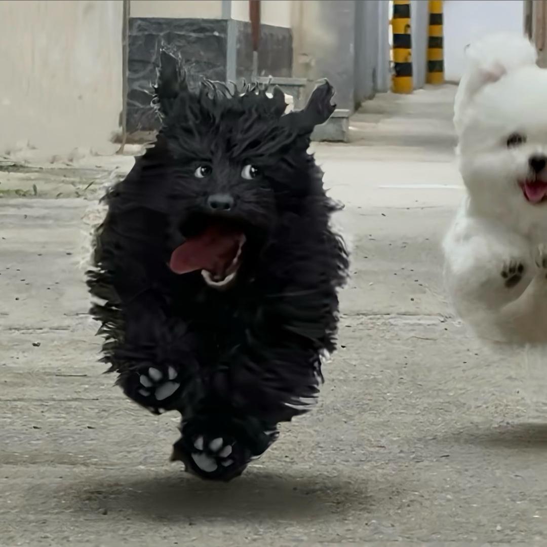凌晨四点钟