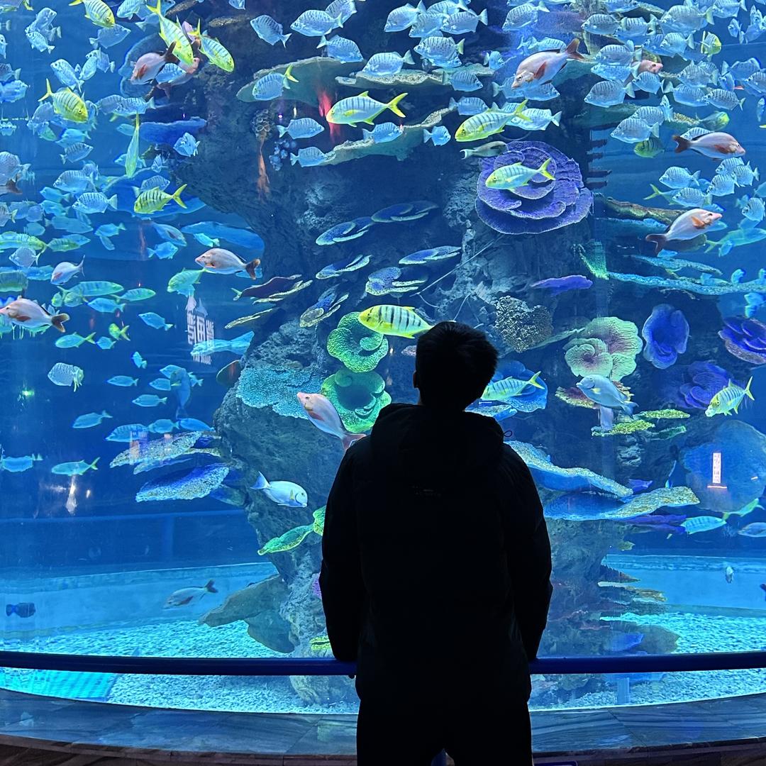 彤彤的小迷弟👑