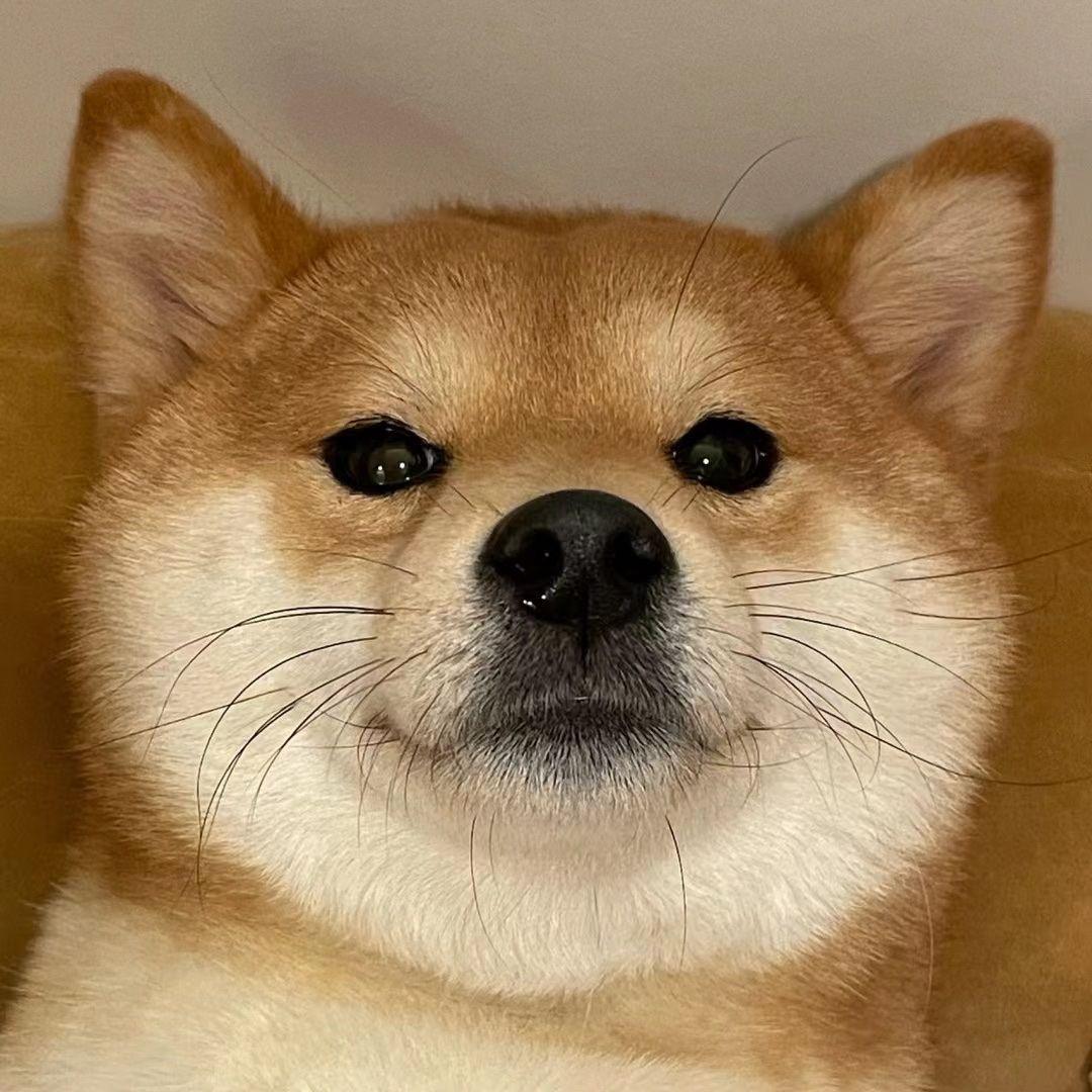 等等我再吃