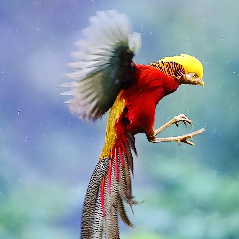 南风知我意
