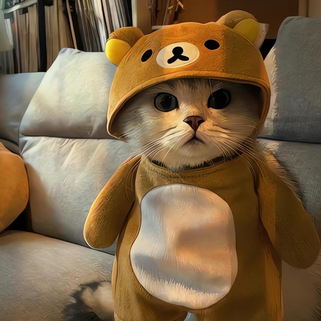 记得填写昵称🐻‍❄️