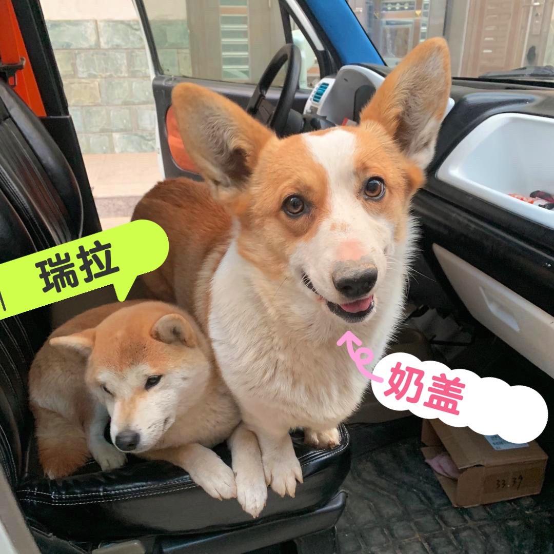 琅琊商行