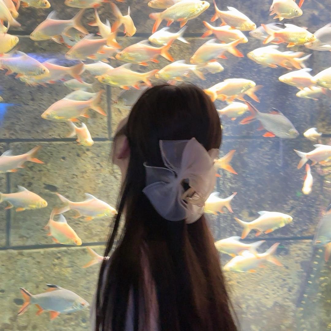 i蟹老板🦀