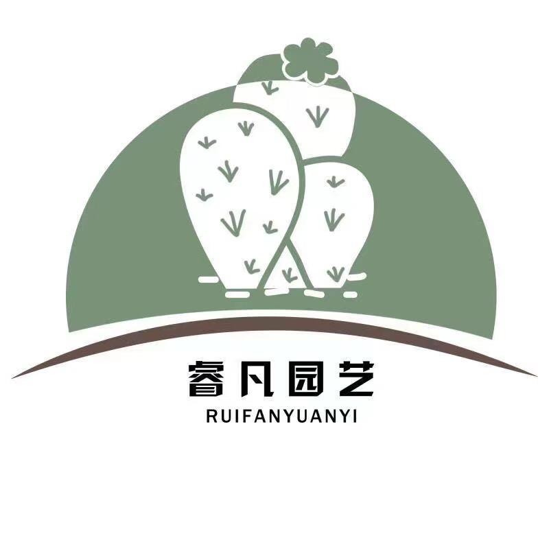 龙海市九湖睿凡园艺场
