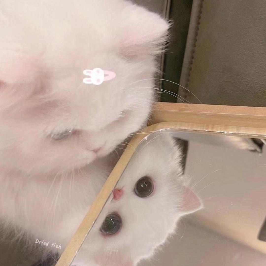 糕糕🥨