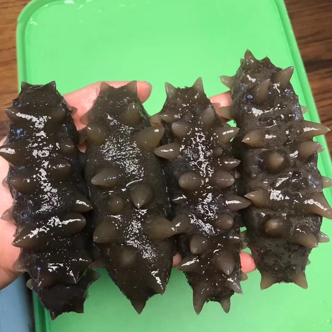 康康