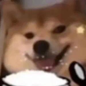 糕冷小霉