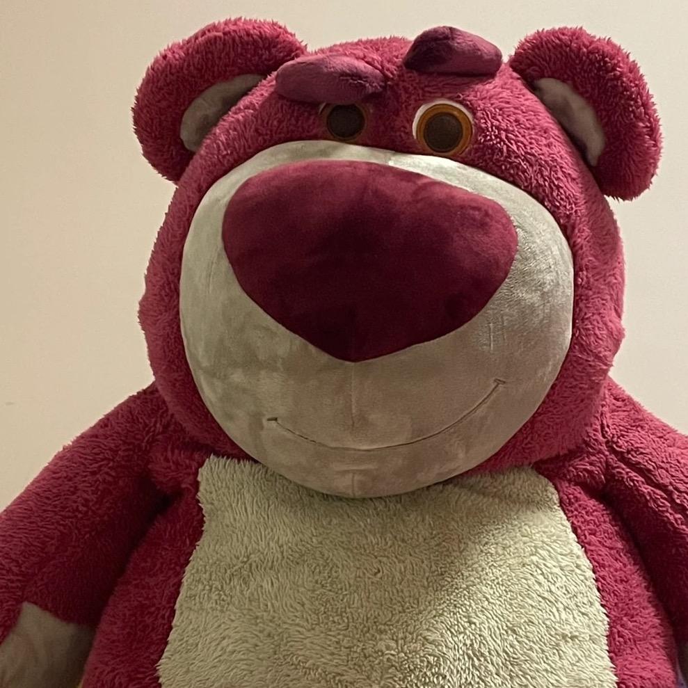 🐻.