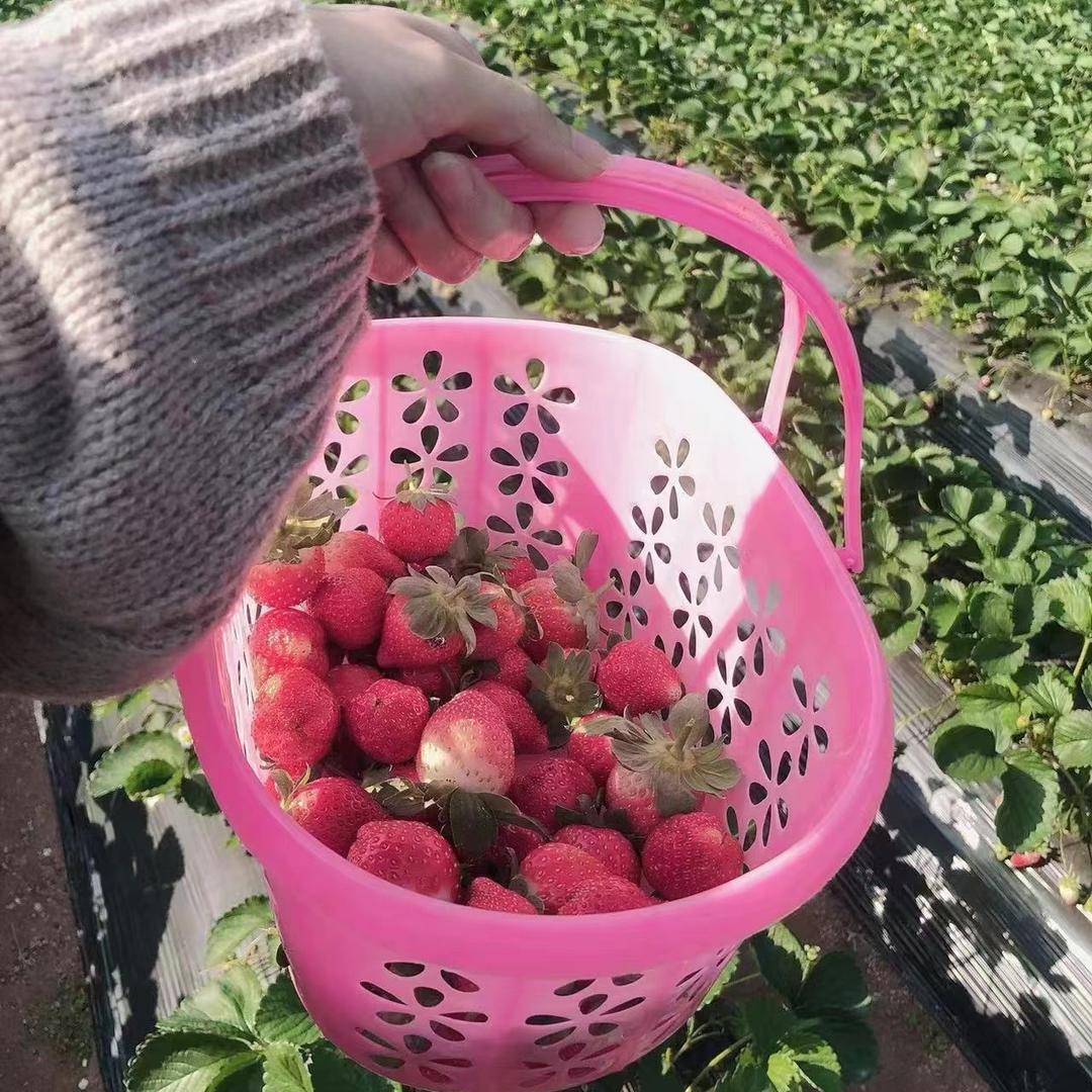 ❣️