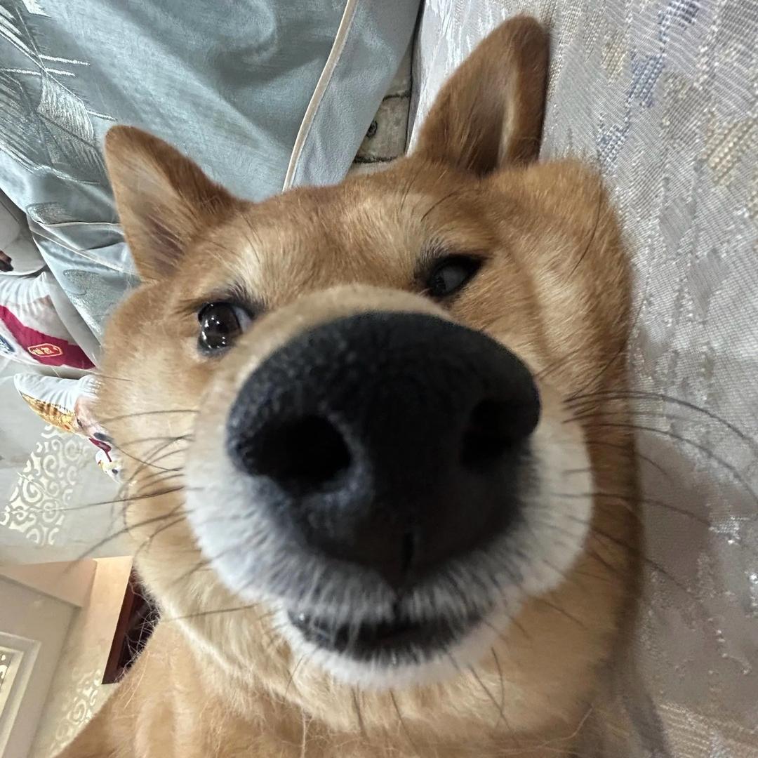 oi