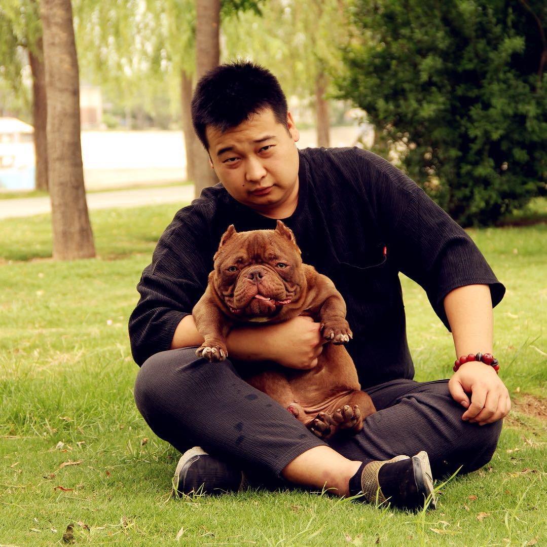 李二麻子是只恶霸犬不是猪🐷