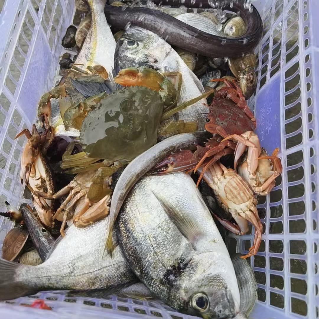 平潭岛主专业带队赶海