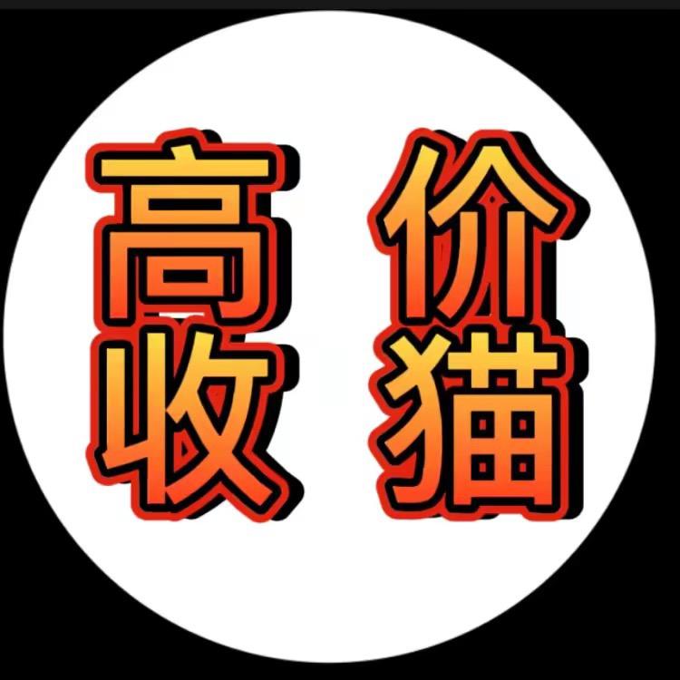 猫先生收猫-刘超
