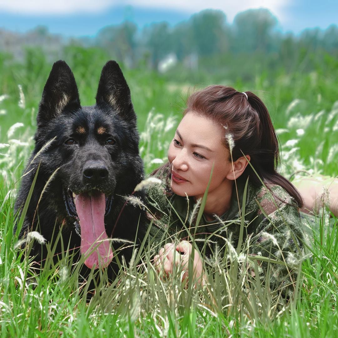 信阳  青青犬舍