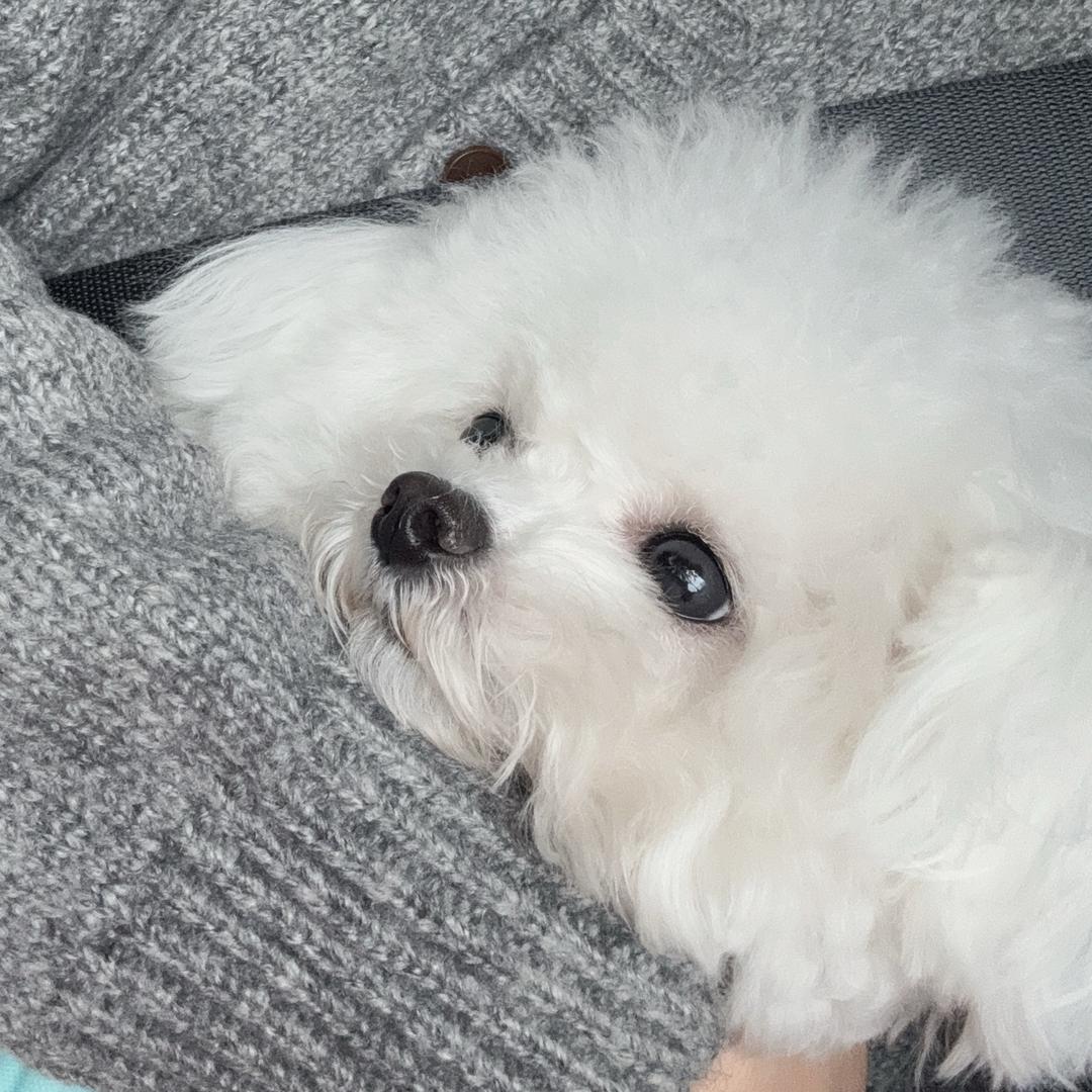 昕瑜zz