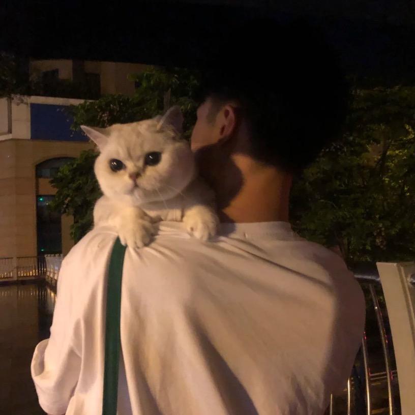 我好困.