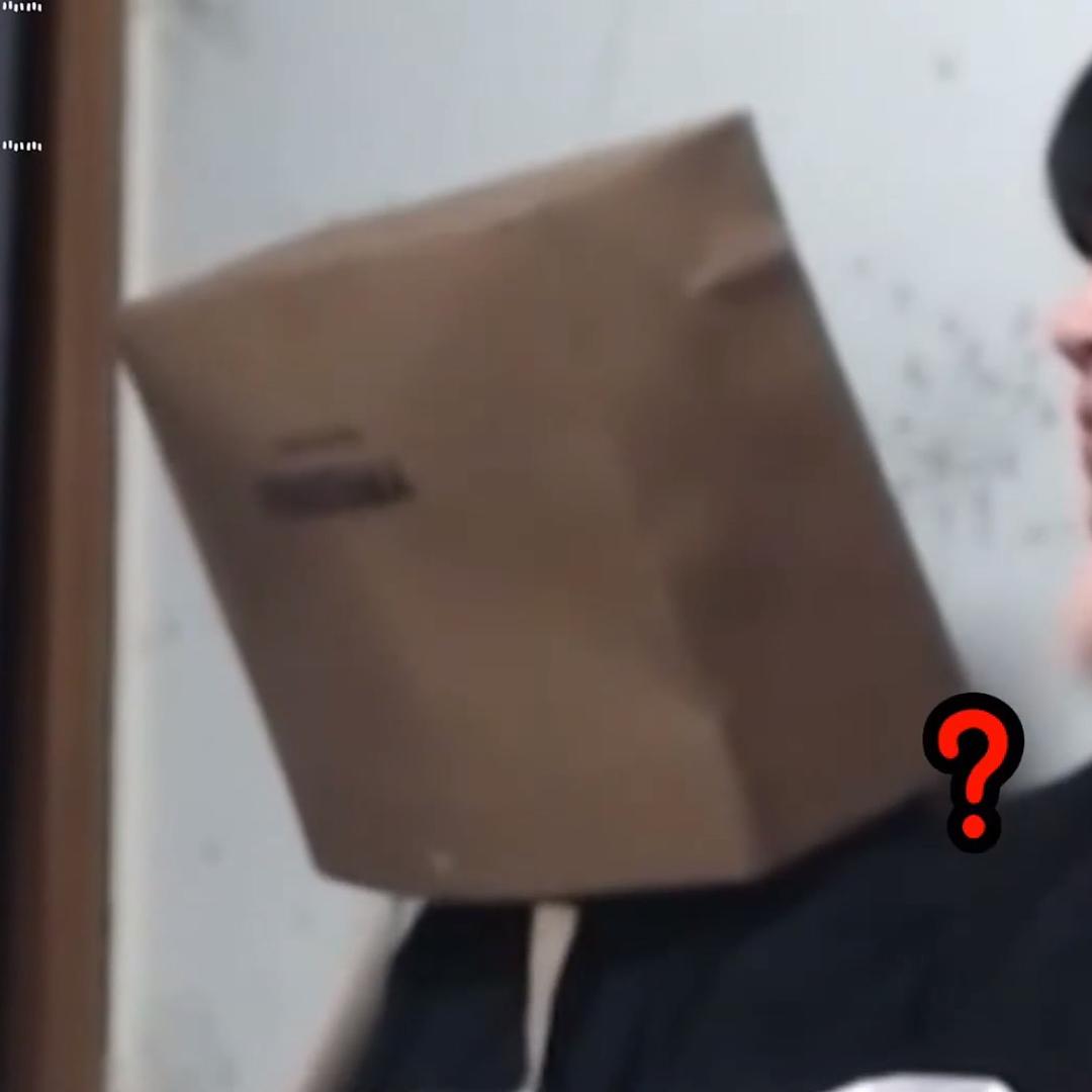 苏斯丝黎的狐狸