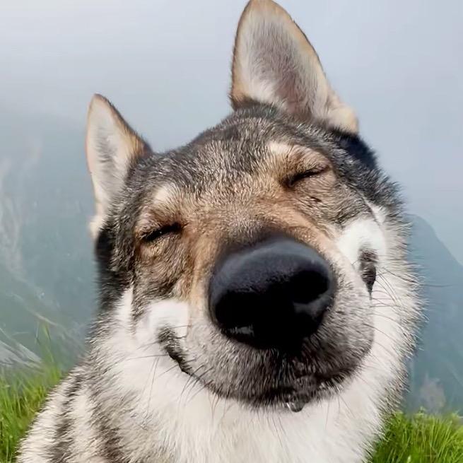 顺其自然