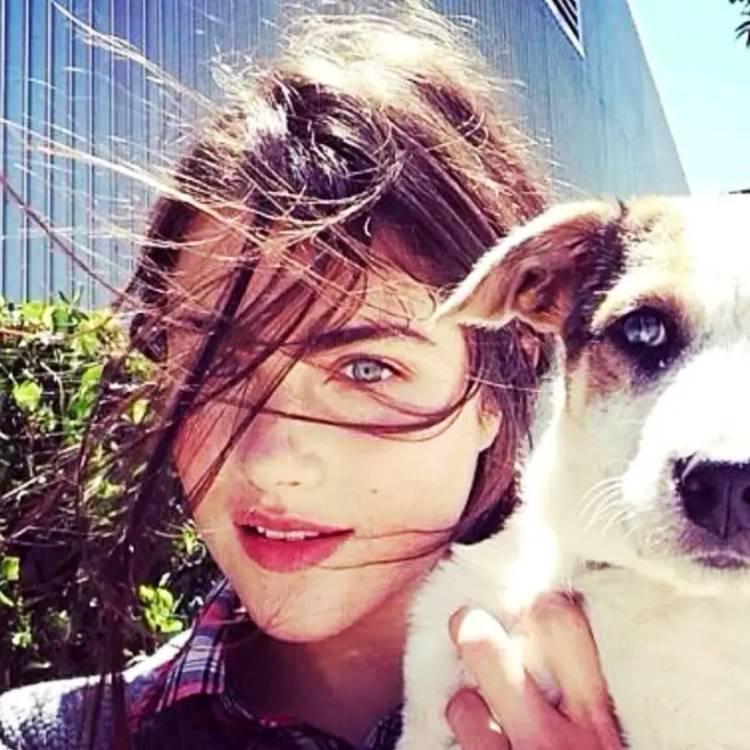 大哥大，小号服务商