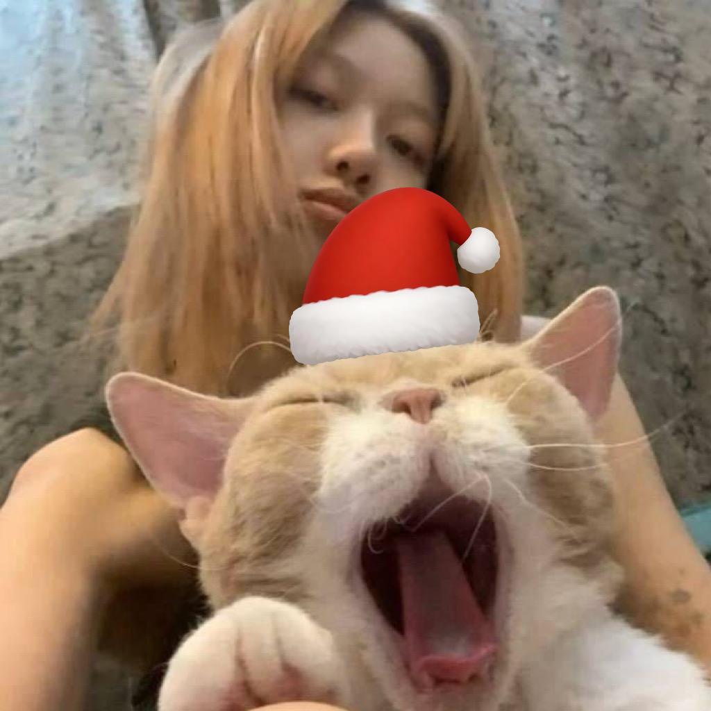 小猫不流泪