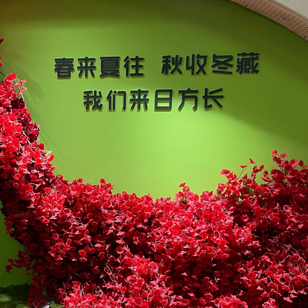 杀猪佬8的《流放之路2》老年萌新学习之路
