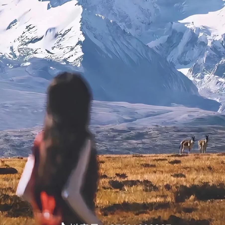 小桃兔兔🐰互关中