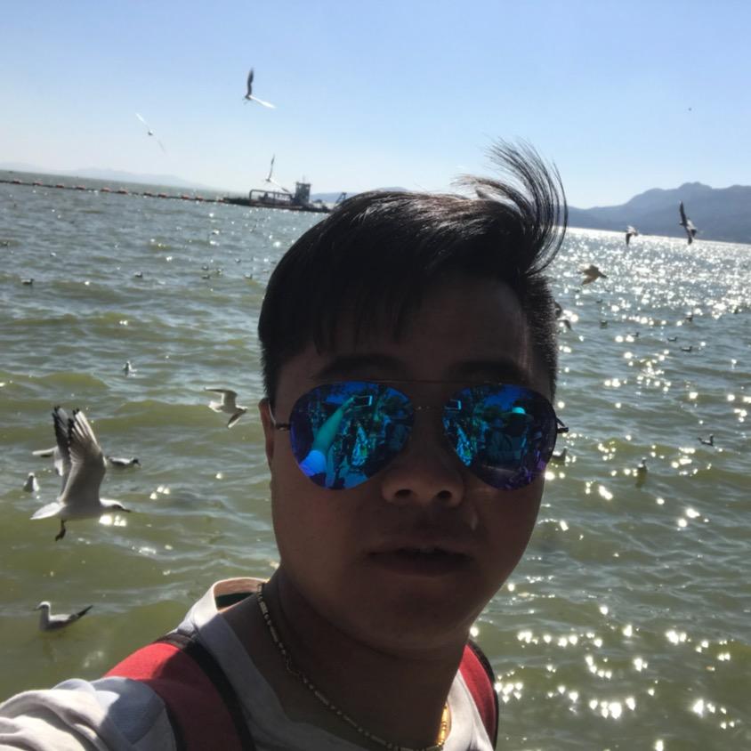柴油大面包~大向