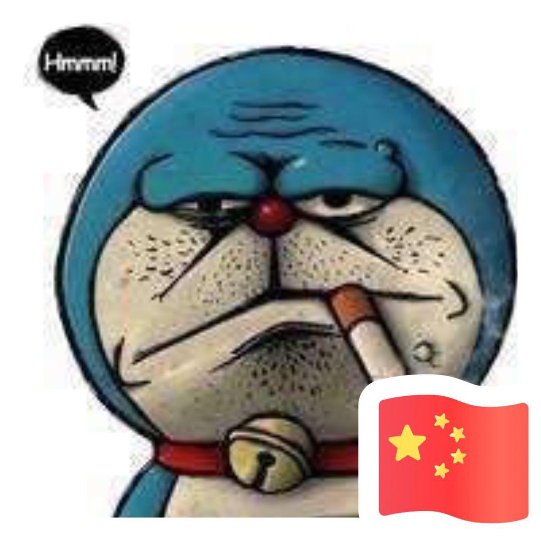猫🐱🐱
