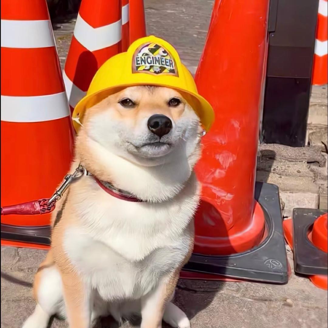 用户18373625282