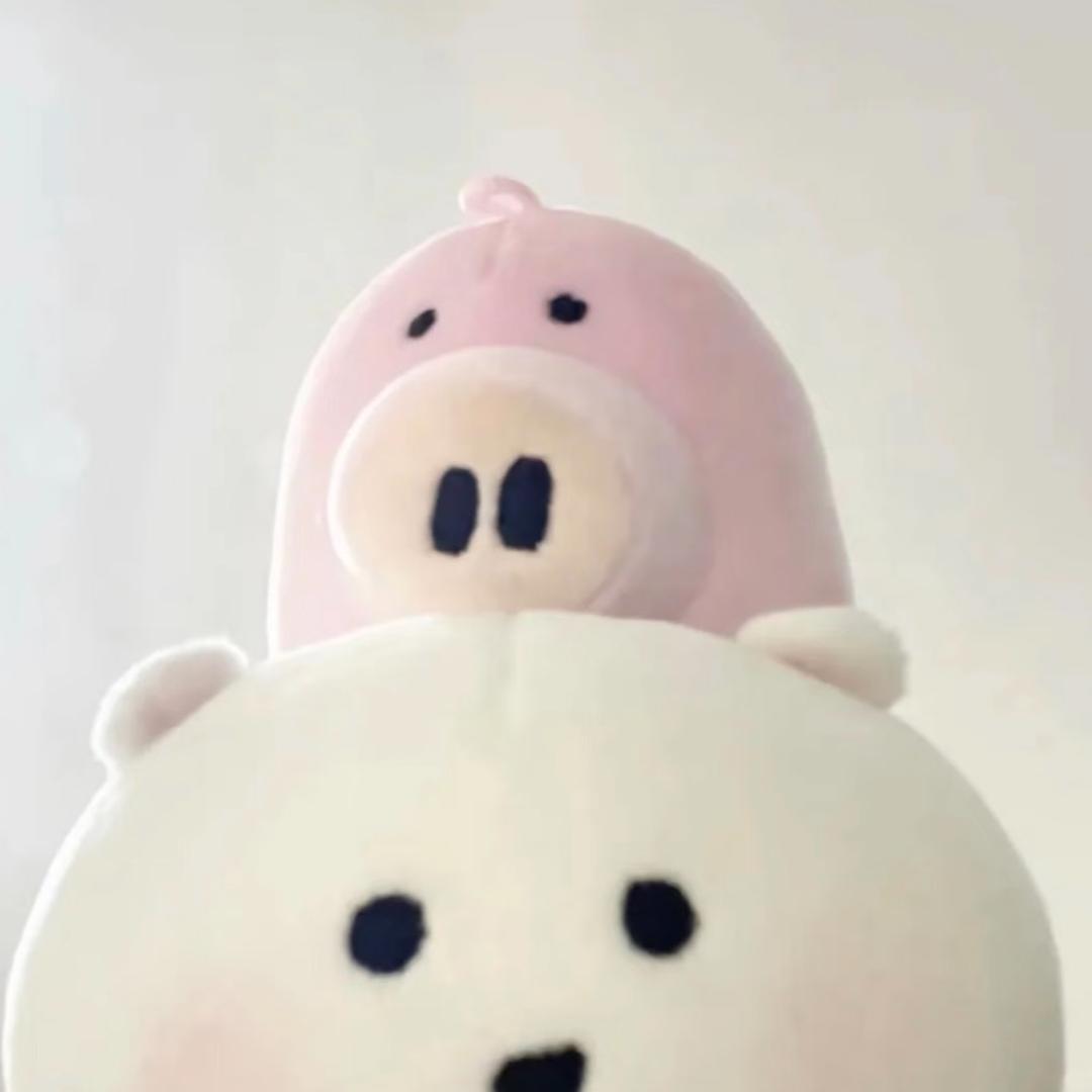 次淮缘