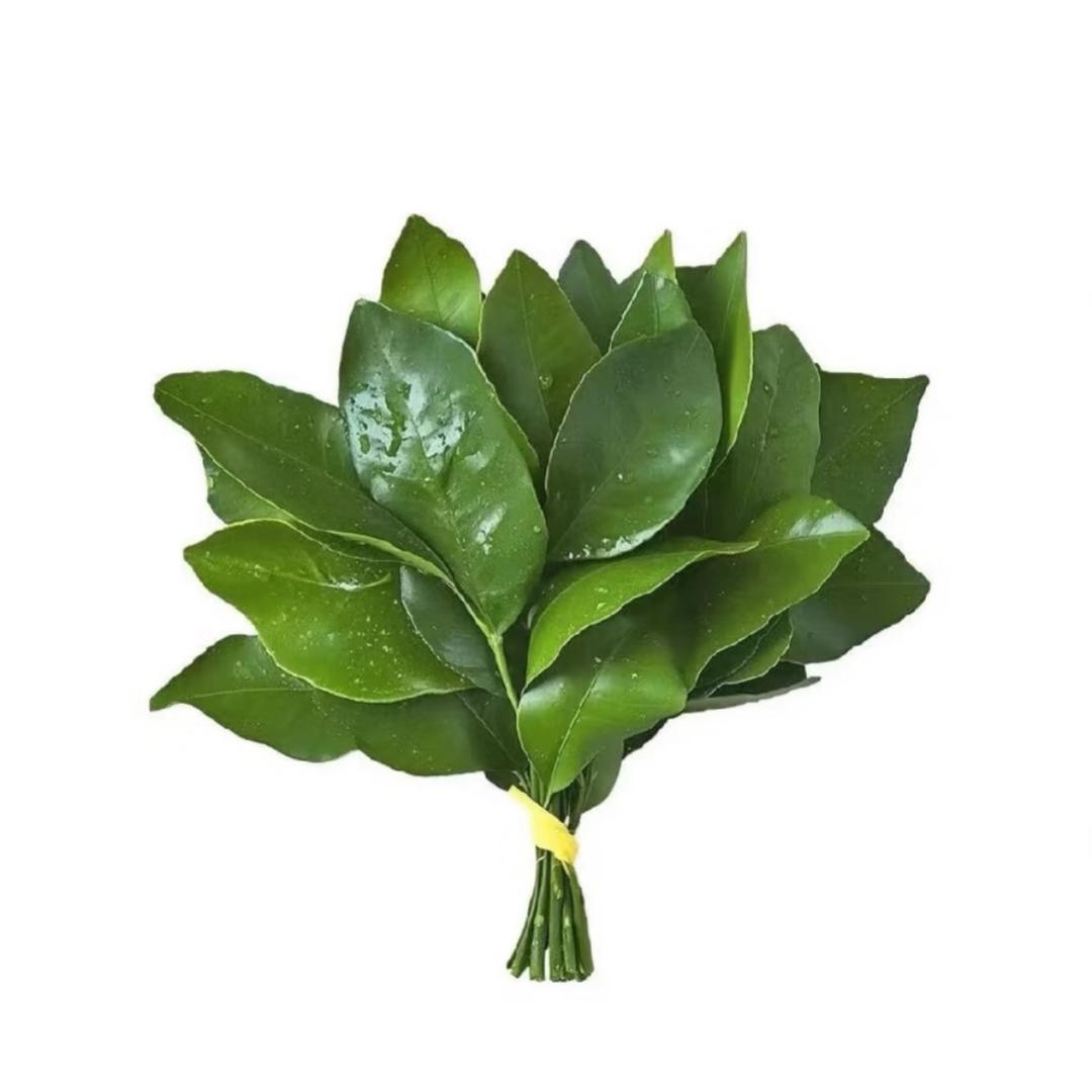 果果^