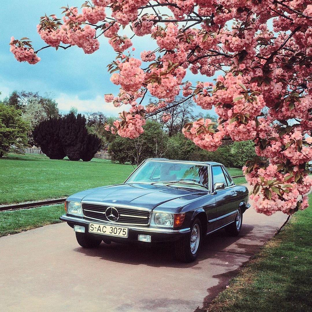 滨州世聚二手车销售有限公司