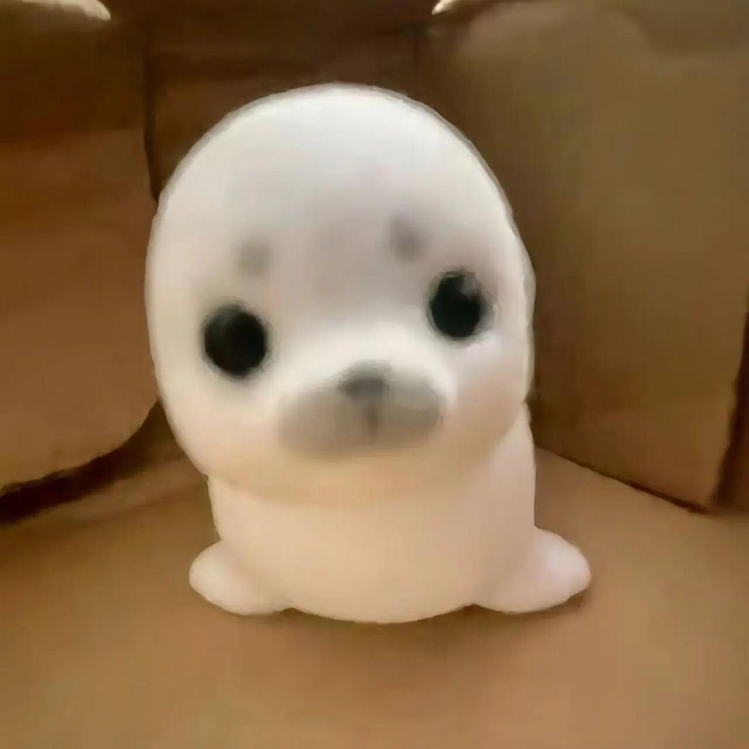 ¿¿