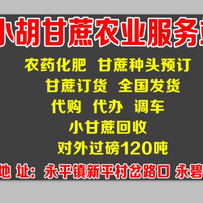小胡 果业  全国发货