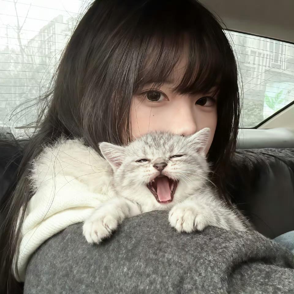 陈小鱼