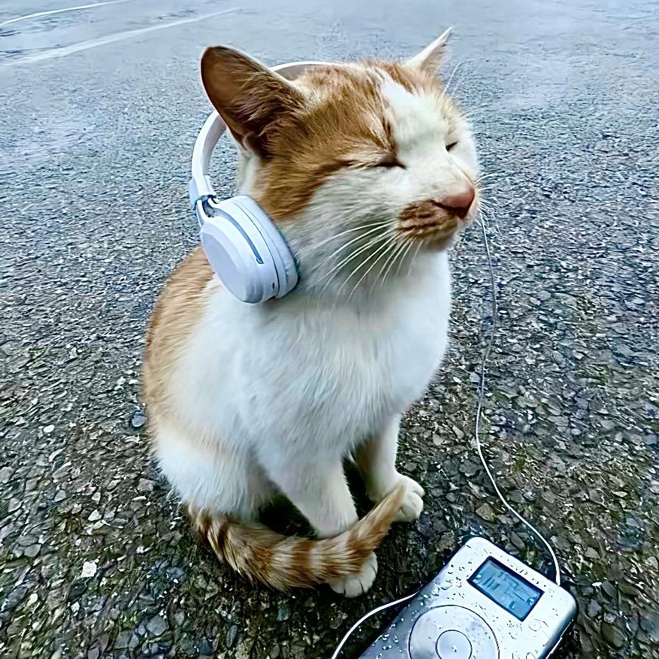 🎧^咪