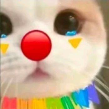 *