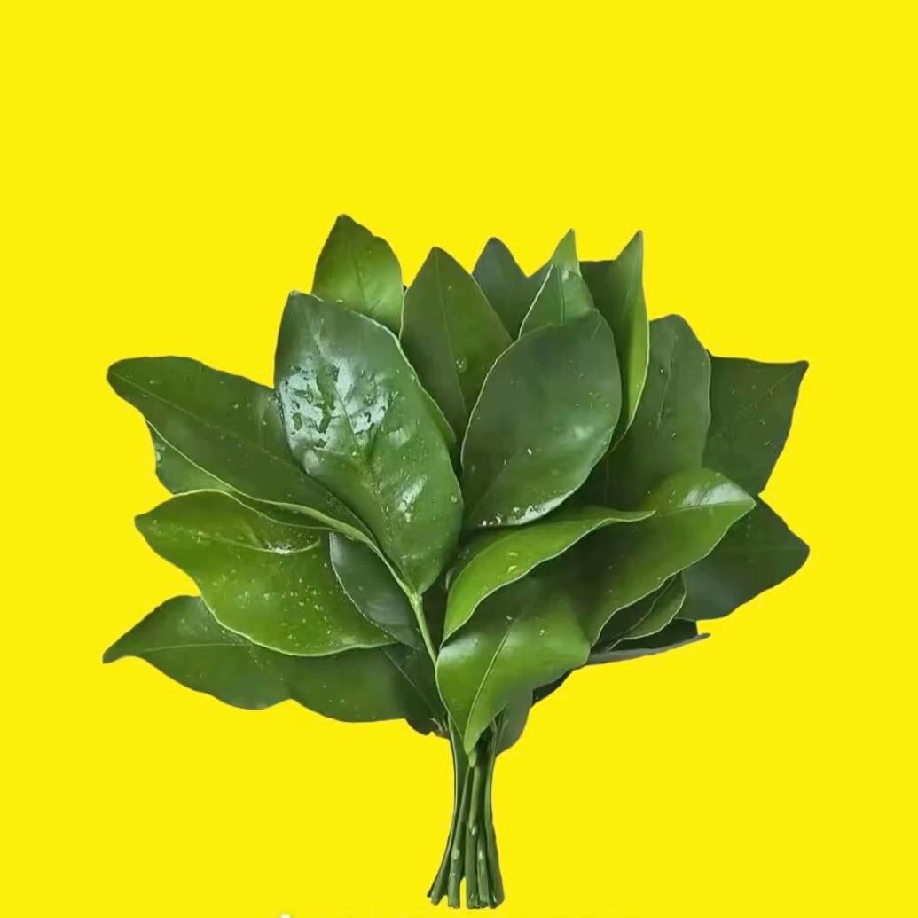 莹夏