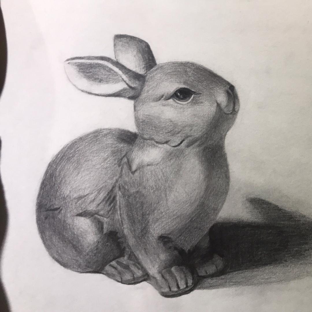 桃桃瑜