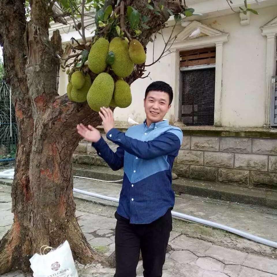 蜜饯柑桔