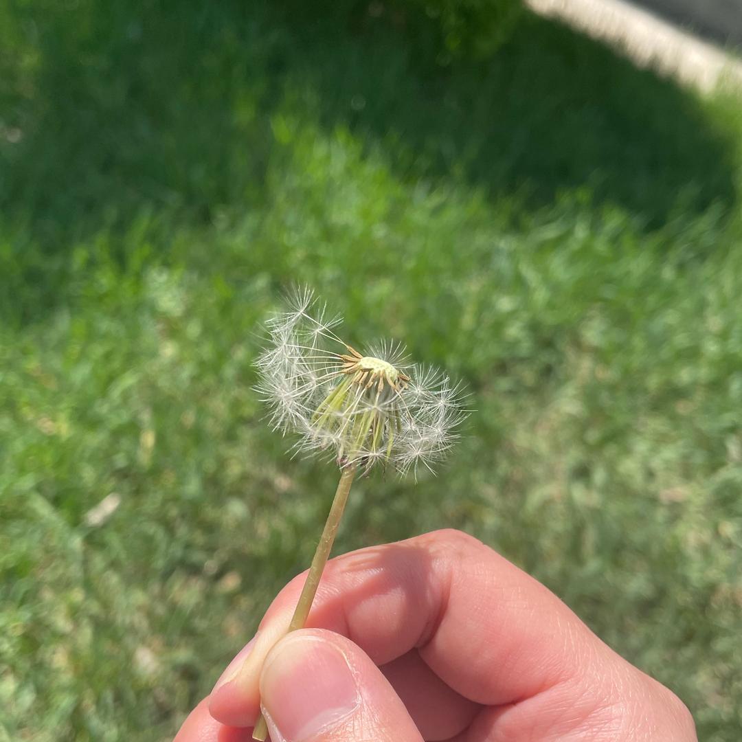 厚积薄发碎片英语