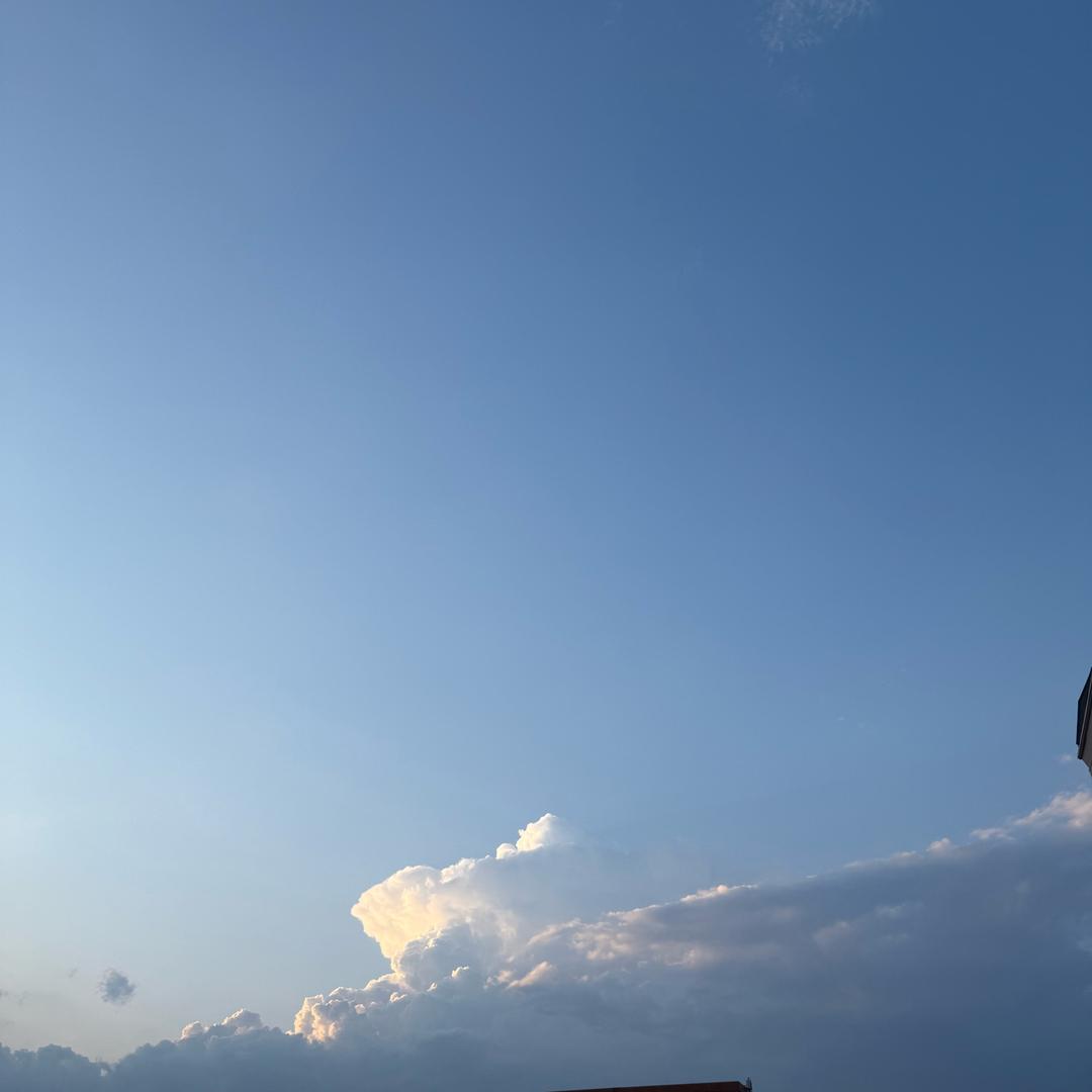 菲菲